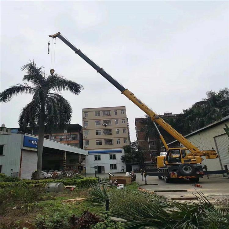 隆安吊车吊大树几种方法